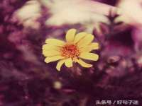 山西德音商贸有限公司