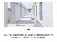 山西德音商贸有限公司