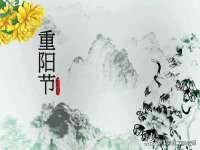 山西德音商贸有限公司