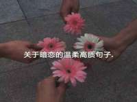 山西德音商贸有限公司