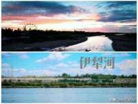 山西德音商贸有限公司