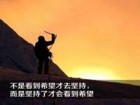 山西德音商贸有限公司