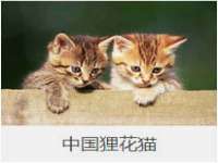 山西德音商贸有限公司