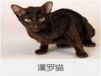山西德音商贸有限公司
