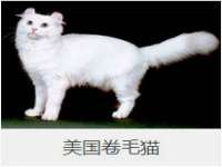 山西德音商贸有限公司
