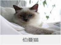 山西德音商贸有限公司