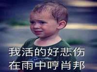 山西德音商贸有限公司