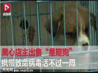 山西德音商贸有限公司