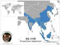 山西德音商贸有限公司