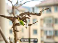 山西德音商贸有限公司
