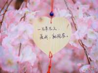 山西德音商贸有限公司