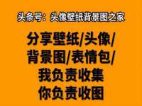 山西德音商贸有限公司