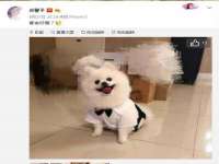 山西德音商贸有限公司