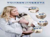 山西德音商贸有限公司