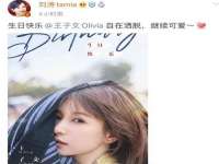 山西德音商贸有限公司
