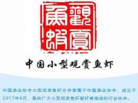山西德音商贸有限公司