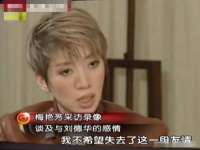 山西德音商贸有限公司