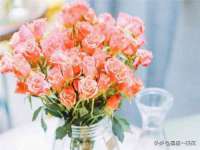 山西德音商贸有限公司
