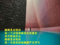 山西德音商贸有限公司
