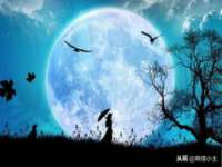 山西德音商贸有限公司