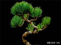山西德音商贸有限公司