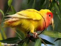 山西德音商贸有限公司
