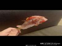 山西德音商贸有限公司